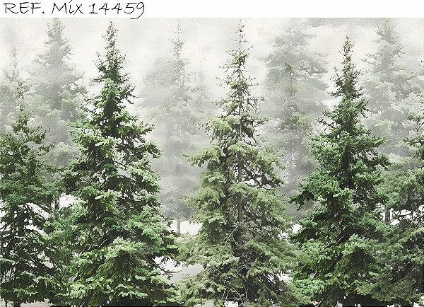 Fundo Fotográfico Pinheiros