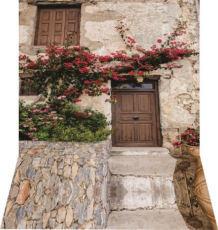 Fundo fotográfico em tecido porta com flores
