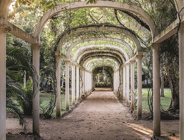 Fundo fotográfico em tecido Passarela