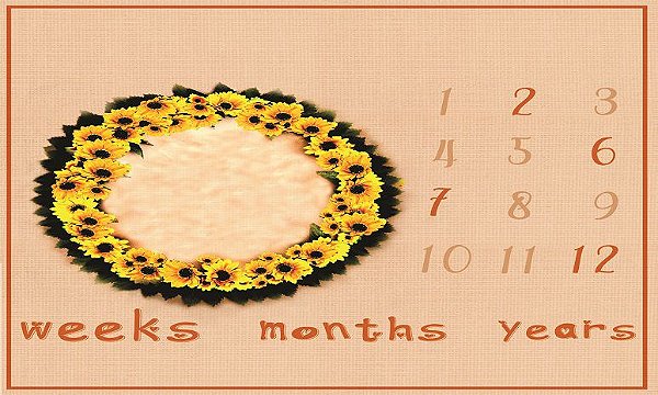 manta Newborn girassóis