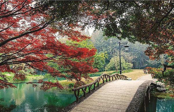 Fundo Fotográfico passarela ponte