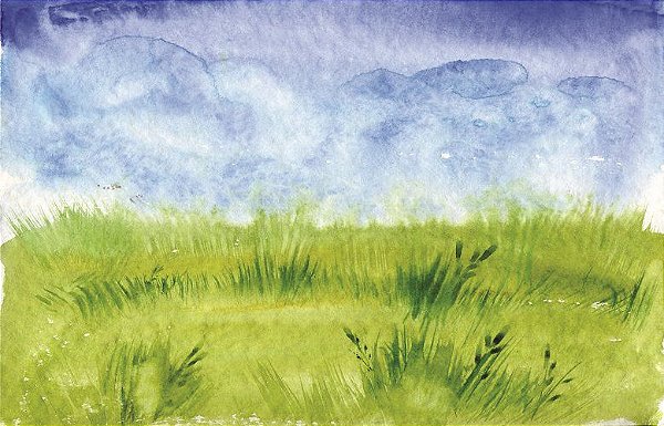 Fundo Fotográfico grama aquarelada