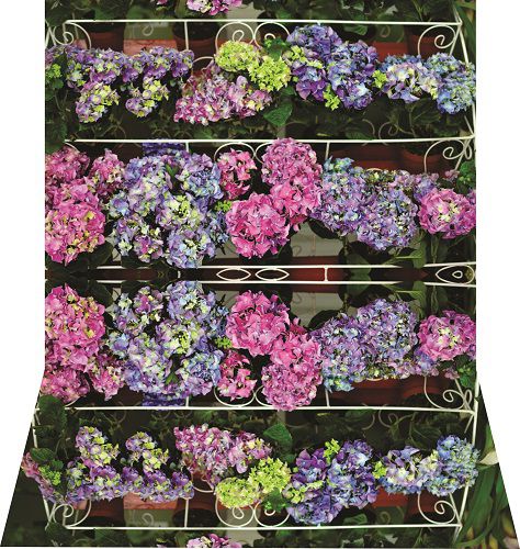 Fundo Fotográfico prateleira de flores