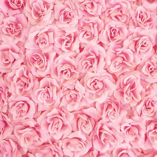 Manta Newborn  rosas