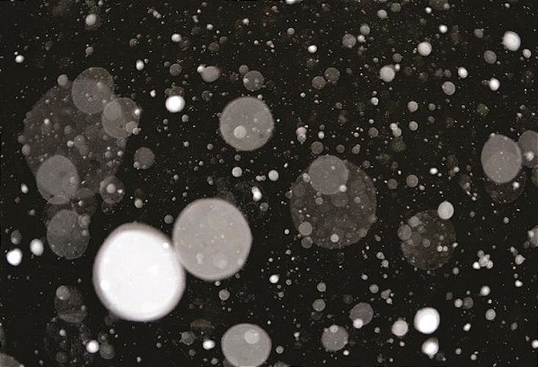 Fundo Fotográfico preto om luzes