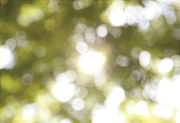 Fundo Fotográfico luzes verde