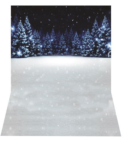 Fundo Fotográfico pinheiros