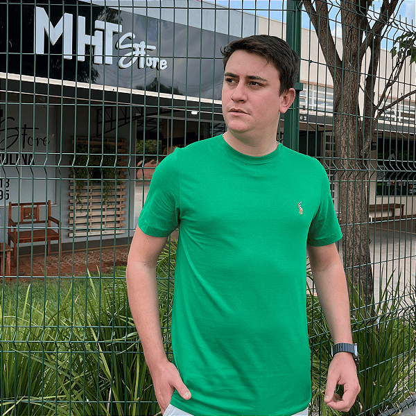 Camiseta Ralph Lauren Verde Bandeira Logo Colorido