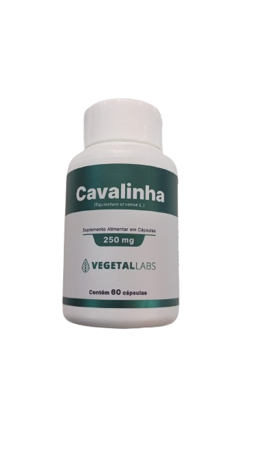 Vegetal labs cavalinha 250mg 60caps