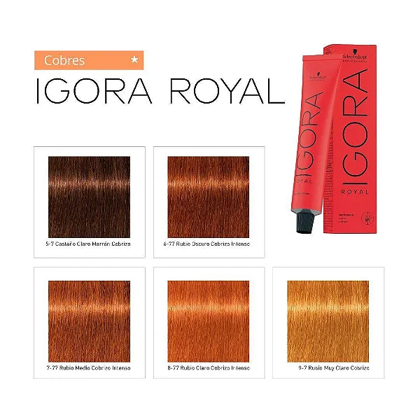 Schwarzkopf Igora Royal Coloração Cobres 60g - Escolha a sua cor!