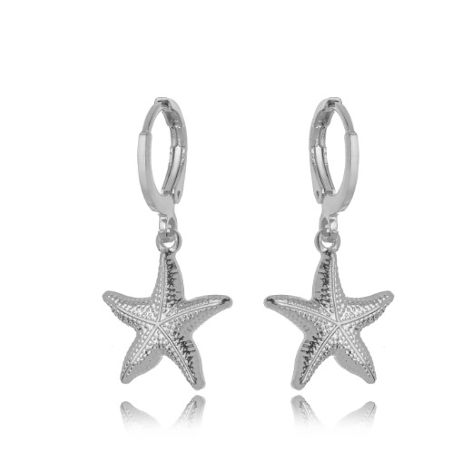 Brinco Argola Estrela Lisa - Ródio Branco