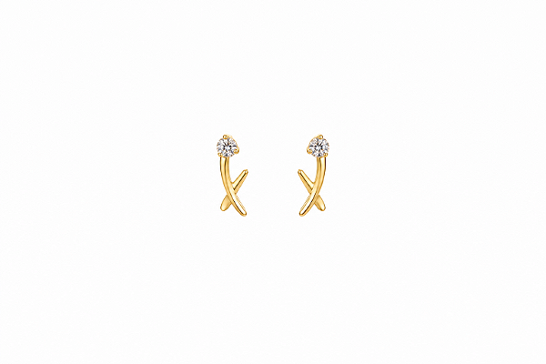 Brinco Delicado com Zircônia – Banho em Ouro 18K