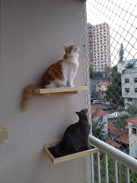 Prateleira - Caminha