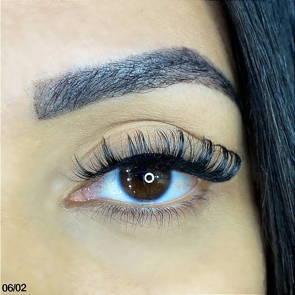 MODELO 06-02 - EFEITO EXTENSÃO