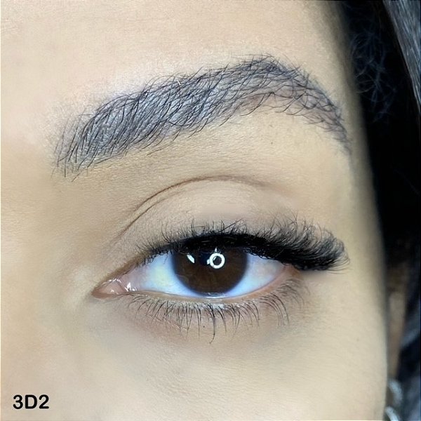 MODELO 3D2- 3D