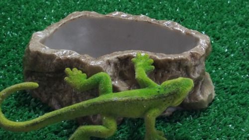 Bebedouro Médio Para Repteis Bb111 Artexotics