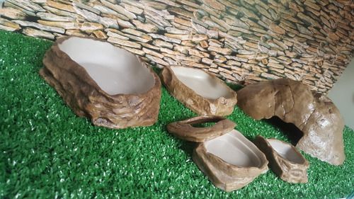 Kit Pogona / Dragão Barbudo 013, Artexotics
