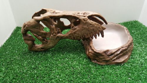 Kit T-rex, Kit-009, Artexotics