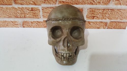 Enfeite Caveira, Cranio Decoração En 400 Artexotics