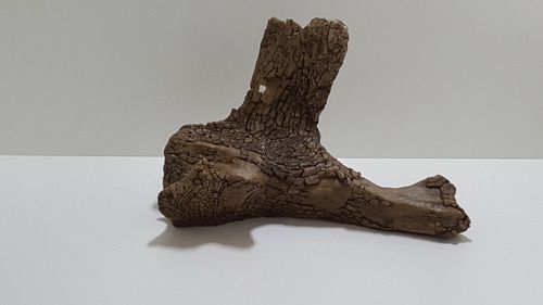 Enfeite Tronco Deitado  Decoração Terrário En 402 Artexotics