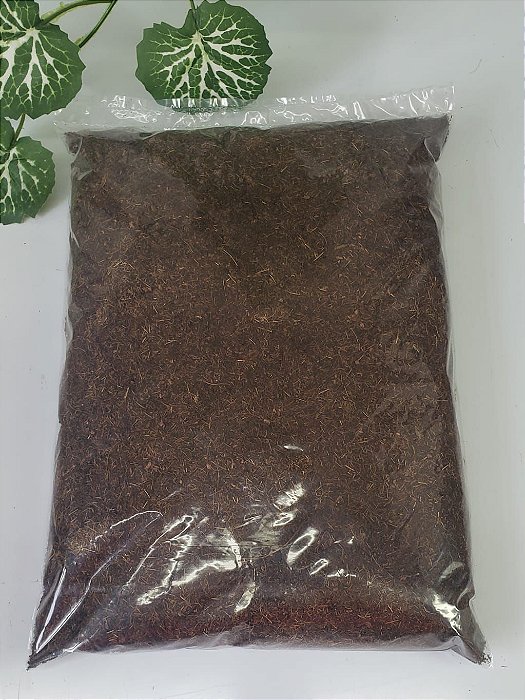 Po de Coco Substrato p/ Terrario  Artexotics