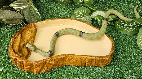 Comedor Bebedouro Jabuti Tartaruga Reptil Cm 025 Artexotics