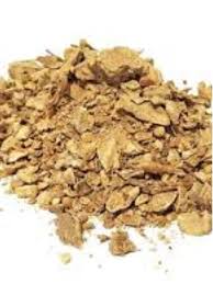 Zedoaria - BELEZA DA TERRA