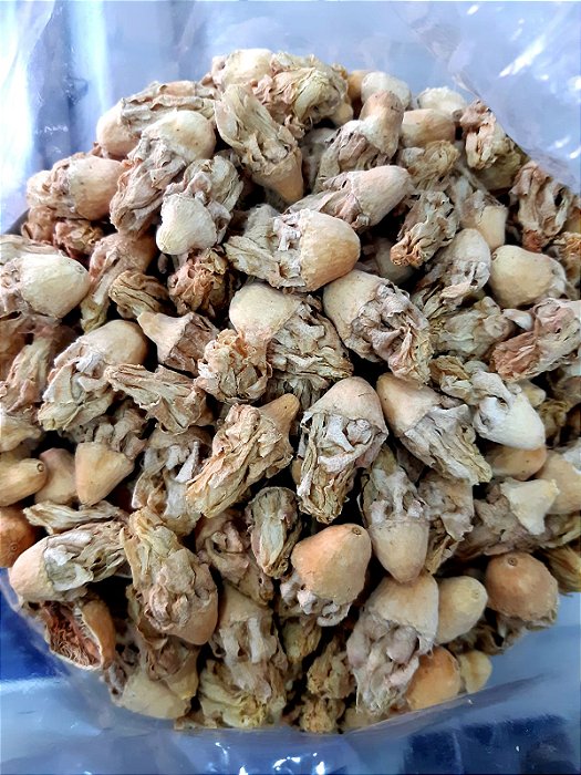 Flor da noite Desidratada - BELEZA DA TERRA