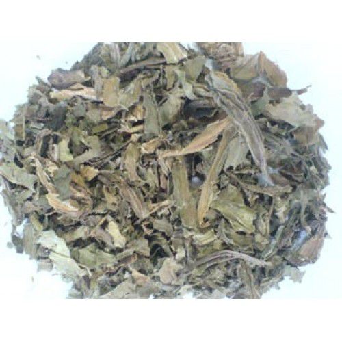 Tanchagem - BELEZA DA TERRA