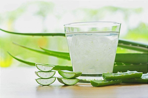 EXTRATO GLICÓLICO BABOSA/ALOE VERA 100ML