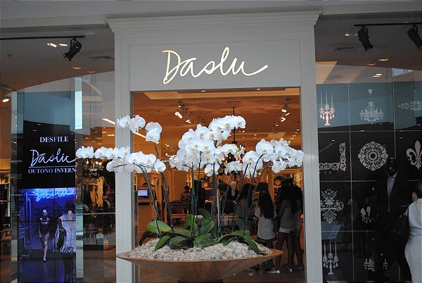 ESSÊNCIA INSPIRAÇÃO DASLU LOJA 100ML