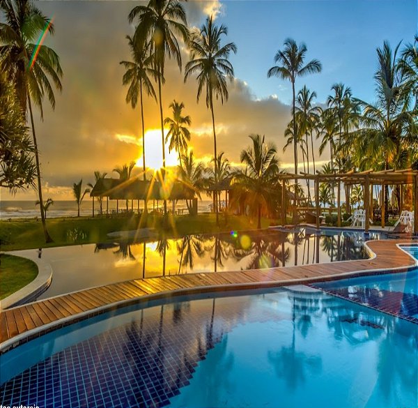 Transfer Ilhéus x Resort Tororomba