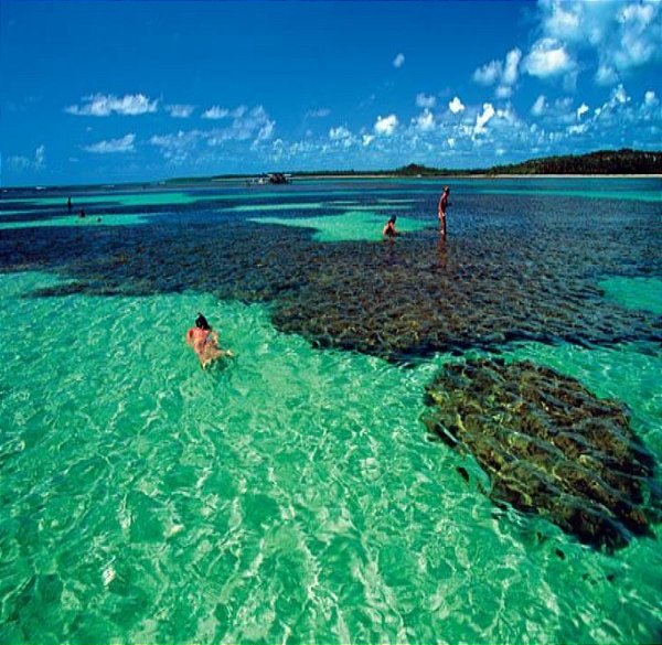 Transfer Ilhéus x Boipeba