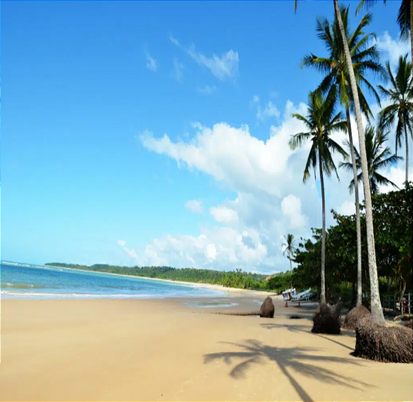 Transfer Ilhéus x Trancoso