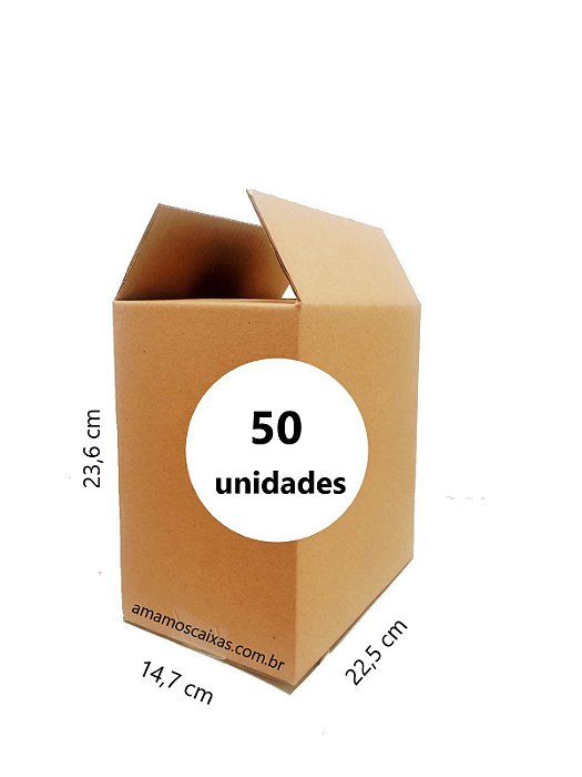 Caixa de Papelão Parda para 6 Garrafas de 600ml - C: 22,5cm L: 14,7cm A: 23,6cm - Pacote com 50 Unidades