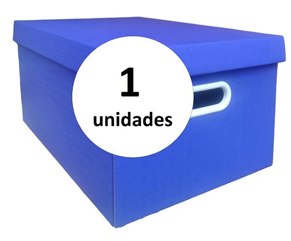 Caixa Tipo Arquivo - 43,0 x 30,0 x 20,0 cm (Onda Simples) - Colorida - Pacote com 1 Unidade