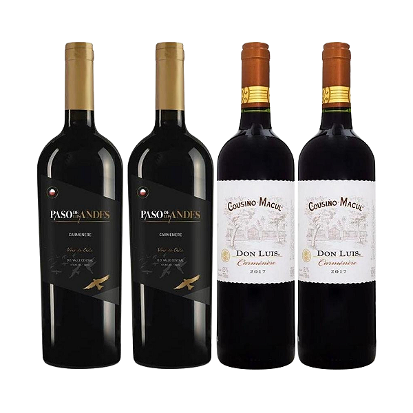Kit 4 Vinhos Carmenere Chilenos: 2 Paso De Los Andes + 2 Cousiño-Macul 750ml