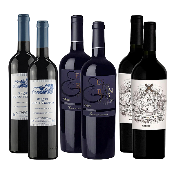 Kit 6 Vinhos Tintos Clássicos Portugal Itália Argentina