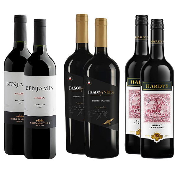 Kit 6 Vinhos Malbec & Cabernet do Novo Mundo