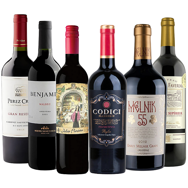 Kit 6 Vinhos Degustação 6 Países – Tintos do Mundo