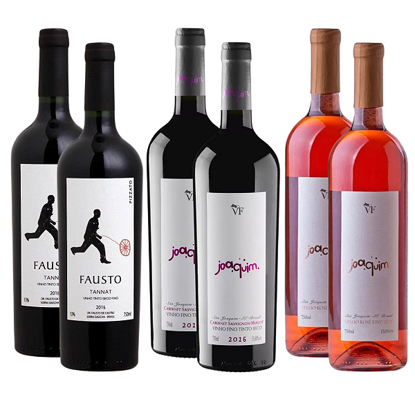 Kit 6 Vinhos Brasileiros Fausto e Joaquim