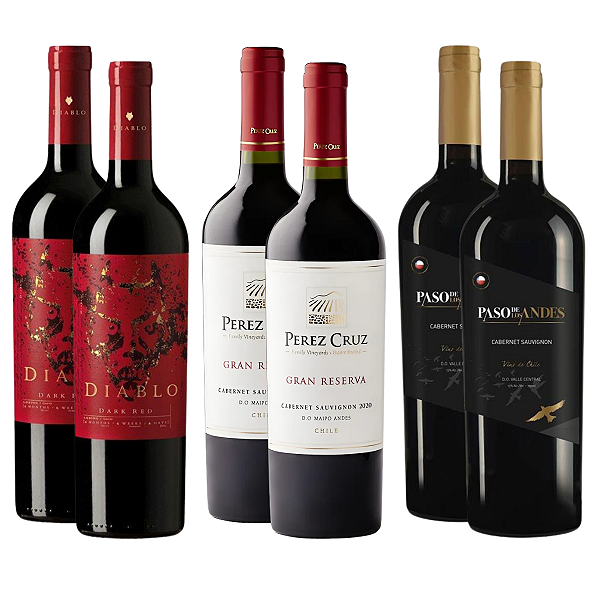 Kit 6 Vinhos Tintos Top Sellers