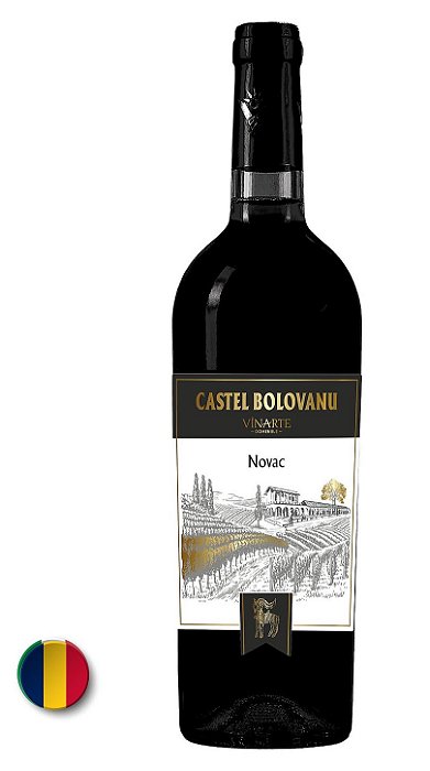 Castel Bolovanu Novac