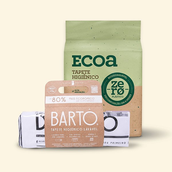 Dupla Transição Sustentável