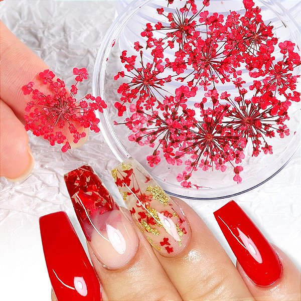 Flor Seca Decoração Nail Arte Sortida Natural Enfeite