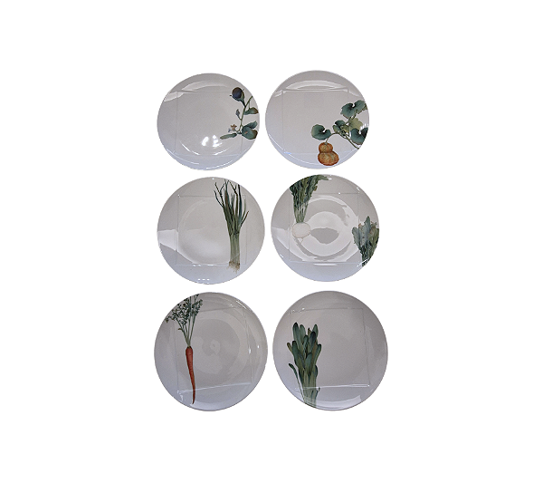 Conjunto De 6 Pratos Rasos Estampa Vegetais Sortidos Noritake 27cm