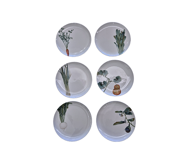 Conjunto De 6 Pratos Para Sobremesa Estampa Vegetais Sortidos Noritake 24cm