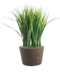 Vaso Capim Vanilha 30cm