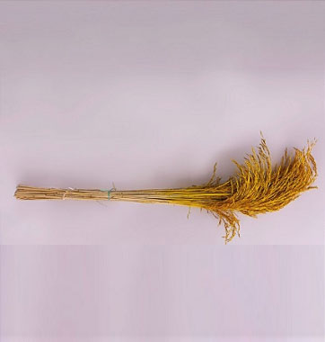 Flor De Arroz Desidratada