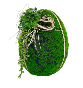 Ovo De Páscoa Em Musgo Rustico Verde